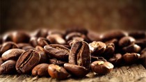 TT cà phê ngày 02/7: Đồng loạt tăng mạnh tại các vùng nguyên liệu