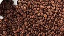 TT cà phê tuần 32: Giá giảm nhẹ do áp lực bán hàng vụ mới 