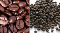 TT cà phê, hạt tiêu ngày 28/9: Giá tăng nhẹ trong phiên giao dịch cuối tuần