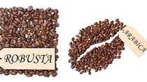 TT cà phê ngày 26/02: Giá toàn sắc xanh cả trong nước và thế giới