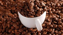 TT cà phê tuần 5 (01/02 – 06/02): Giá trong nước tăng nhẹ so với tuần trước