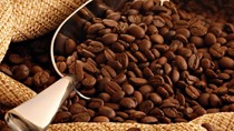 Thị trường cà phê hôm nay 23/8: Giá trong nước tiến sát mốc 49.000 đồng/kg