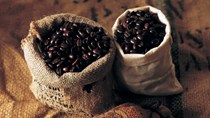TT cà phê ngày 26/01: Giá tại các vùng Tây Nguyên giảm thêm 100 đồng/kg