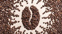 TT cà phê ngày 22/4: Giá nhiều tỉnh vượt qua mốc 33.000 đồng/kg