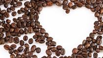 TT cà phê ngày 15/4: Giá nhiều tỉnh Tây Nguyên tiến sát mốc 33.000 đồng/kg