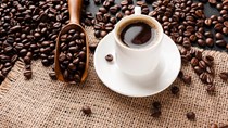 TT cà phê ngày 28/4: Giá tăng thêm 400 đồng/kg tại Tây Nguyên