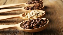 TT cà phê ngày 06/4: Giá tại nhiều vùng nguyên liệu ở trên mức 32.000 đồng/kg