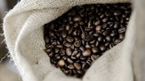 TT cà phê ngày 30/3: Giá sụt giảm 400 đồng/kg