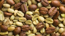 TT cà phê ngày 14/4: Giá hai sàn nhích nhẹ do lo ngại nguồn cung mùa vụ sắp tới ở Brazil