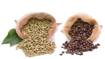 TT cà phê ngày 29/4: Giá tăng thêm 400 đồng/kg tại Tây Nguyên