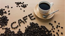 TT cà phê ngày 27/11: Giá đột ngột lao dốc sau hai phiên hồi phục