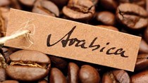 TT cà phê tuần 50: Giá sụt giảm khiến giao dịch chậm lại