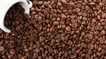 TT nguyên liệu đồ uống ngày 16/9: Giá cà phê xuống mức thấp 1 tháng; Ca cao tăng