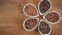TT cà phê ngày 10/8: Giá duy trì ổn định tại các tỉnh Tây Nguyên