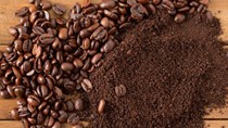 TT cà phê ngày 20/5 giao dịch quanh mức 30.700 – 31.200 đồng/kg