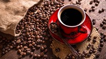 Giá cà phê hôm nay 10/8: Lấy lại mốc 37.000 đồng/kg tại nhiều vùng nguyên liệu trọng điểm