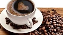 Giá cà phê kỳ hạn tại NYBOT sáng ngày 01/11/2016    