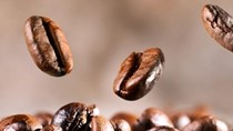 Thị trường cà phê hôm nay 08/6: Giá trong nước tiến sát mốc 63.000 đồng/kg