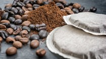Thị trường cà phê hôm nay 14/11: VICOFA dự báo niên vụ cà phê 2023/24 sẽ thu hoạch muộn