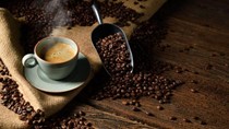 Thị trường cà phê hôm nay 23/11: USDA điều chỉnh dự báo sản lượng niên vụ mới 2023/24 