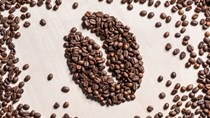 Thị trường cà phê hôm nay 12/10: Báo cáo xuất khẩu tháng 9/2023 gây áp lực lên hai sàn kỳ hạn