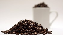 Thị trường cà phê hôm nay 07/9: Tăng giá ở cả trong nước và thế giới