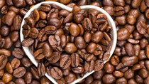 Thị trường cà phê hôm nay 13/9: Giá duy trì dưới mốc 49.000 đồng/kg
