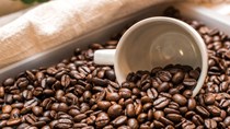 Thị trường cà phê hôm nay 11/10: Giá arabica trượt nhẹ, dự trữ của Brazil ở mức thấp nhất 23 năm