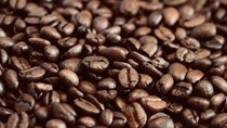 Thị trường cà phê hôm nay 23/11: Lo ngại nguồn cung thiếu hụt cùng đồng USD suy yếu kéo giá hồi phục