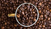 TT cà phê ngày 16/6: Dự báo của USDA về tình hình cung – cầu khiến giá sụt giảm