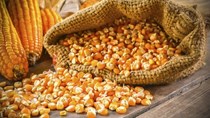 Tổng hợp diễn biến thị trường kết thúc phiên giao dịch ngày 18/6/2021