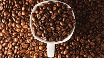 Thị trường cà phê hôm nay 22/3: Hai sàn giao dịch thế giới tiếp nối đà tăng giá