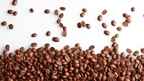 Thị trường cà phê ngày 12/1: Giá xuất khẩu liên tục tăng cao trong năm 2023