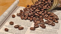 ICO: Thương mại cà phê toàn cầu cao kỷ lục, giá robusta lập đỉnh mới