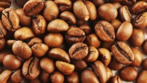 Xuất khẩu cà phê robusta của Indonesia trong tháng 11/2023 giảm mạnh