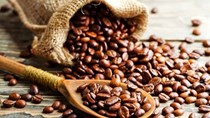 TT cà phê tuần 02 – 06/1: Dự báo xuất khẩu cà phê của Việt Nam có thể thu về 5 tỷ USD trong năm 2024