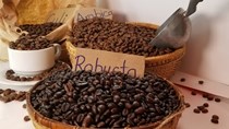 USDA: Tiêu thụ cà phê thế giới cao kỷ lục, tồn kho chạm đáy 12 năm