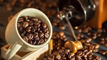 Thị trường cà phê ngày 02/1: Giá nội địa có triển vọng tích cực trong năm mới