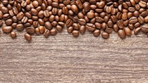 Thị trường cà phê hôm nay 12/8: Giá hai sàn tăng mạnh do tồn kho giảm sâu