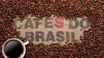 Giá cà phê hôm nay 13/10: Bật tăng 800 đồng/kg trong ngày khóa sổ vị thế kinh doanh