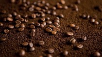 Thế giới có thể dư hơn 2 triệu bao cà phê trong niên vụ 2020 - 2021?