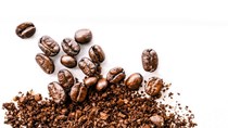 Giá cà phê tiến gần đỉnh lịch sử, doanh nghiệp xuất khẩu lo không mua được hàng