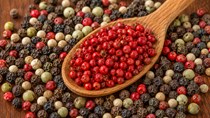 Xuất khẩu hồ tiêu tăng tốc, chất lượng là ‘chìa khóa’ giữ thị trường