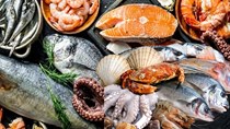Thị trường nhập khẩu thủy sản của Việt Nam: Tín hiệu phục hồi mạnh mẽ từ cuối quý II/2026