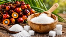 Diễn biến giá nông sản thế giới hôm nay 30/10/2026
