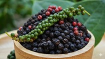 TT hạt tiêu ngày 9/6: Chuỗi giá trị hạt tiêu của Việt Nam đang ngày càng mở rộng