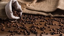 TT cà phê ngày 29/5: Hai sàn giao dịch thế giới giảm trong bối cảnh Brazil bước vào thu hoạch vụ mới