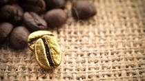 TT cà phê ngày 27/6: Dự báo thị trường có thể dư cung trong niên vụ tới