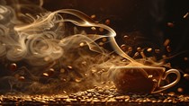 TT cà phê ngày 11/6: Nông dân Brazil đẩy mạnh bán cà phê robusta do vụ thu hoạch tiến triển tốt