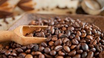 TT cà phê ngày 4/6: Giá robusta giảm phiên thứ 8 liên tiếp khi nguồn cung dồi dào